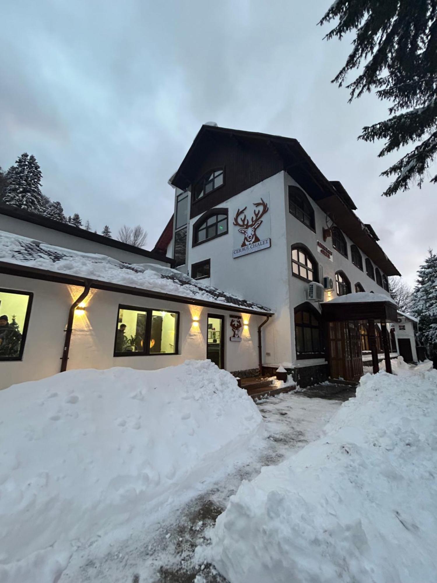 Cerbul Chalet Accommodation & Wellness Rîşnov Exterior foto