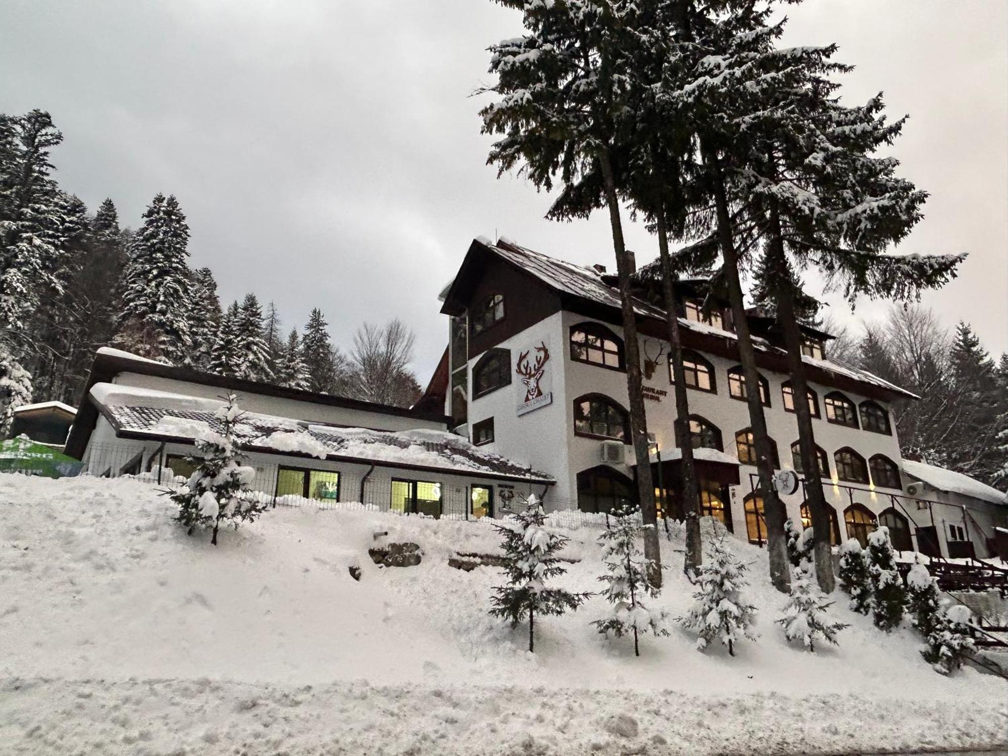 Cerbul Chalet Accommodation & Wellness Rîşnov Exterior foto